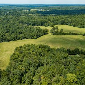 Photo #16 of Mrs White Lane, Mebane, NC 131.7 acres