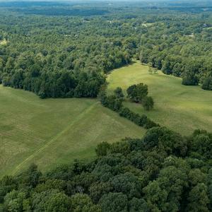 Photo #17 of Mrs White Lane, Mebane, NC 131.7 acres