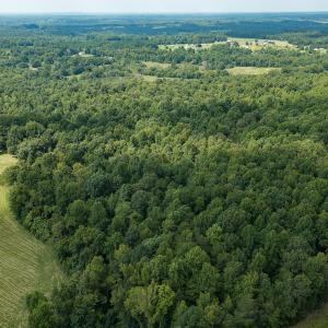 Photo #19 of Mrs White Lane, Mebane, NC 131.7 acres
