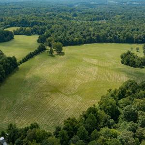 Photo #20 of Mrs White Lane, Mebane, NC 131.7 acres