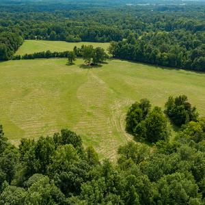 Photo #21 of Mrs White Lane, Mebane, NC 131.7 acres