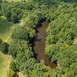 Photo #25 of Mrs White Lane, Mebane, NC 131.7 acres