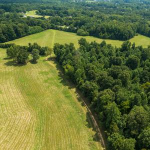 Photo #26 of Mrs White Lane, Mebane, NC 131.7 acres