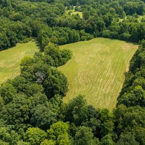 Photo #27 of Mrs White Lane, Mebane, NC 131.7 acres