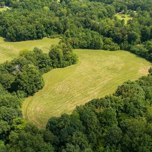 Photo #28 of Mrs White Lane, Mebane, NC 131.7 acres