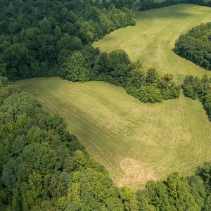 Photo #29 of Mrs White Lane, Mebane, NC 131.7 acres