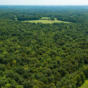 Photo #4 of Mrs White Lane, Mebane, NC 131.7 acres
