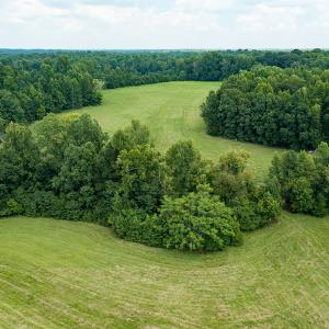 Photo #31 of Mrs White Lane, Mebane, NC 131.7 acres