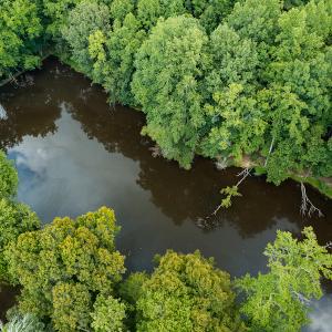 Photo #32 of Mrs White Lane, Mebane, NC 131.7 acres