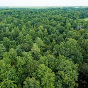 Photo #33 of Mrs White Lane, Mebane, NC 131.7 acres