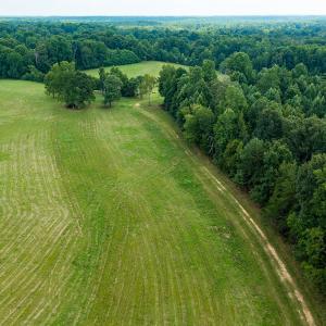 Photo #34 of Mrs White Lane, Mebane, NC 131.7 acres