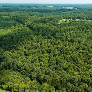 Photo #5 of Mrs White Lane, Mebane, NC 131.7 acres