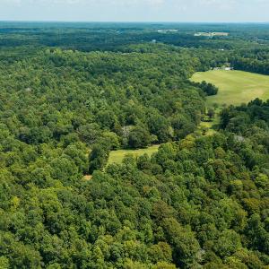 Photo #8 of Mrs White Lane, Mebane, NC 131.7 acres