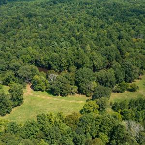 Photo #9 of Mrs White Lane, Mebane, NC 131.7 acres
