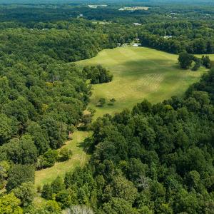 Photo #10 of Mrs White Lane, Mebane, NC 131.7 acres