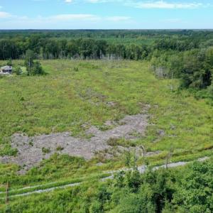 Photo #3 of SOLD property in Off Bolton Road, Rich Square, NC 12.5 acres