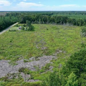 Photo #4 of SOLD property in Off Bolton Road, Rich Square, NC 12.5 acres
