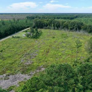 Photo #5 of SOLD property in Off Bolton Road, Rich Square, NC 12.5 acres