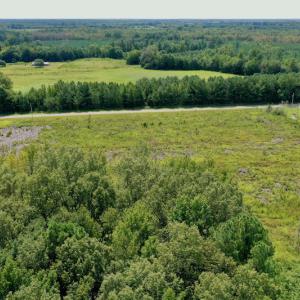 Photo #7 of SOLD property in Off Bolton Road, Rich Square, NC 12.5 acres