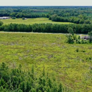 Photo #8 of SOLD property in Off Bolton Road, Rich Square, NC 12.5 acres