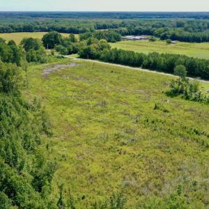 Photo #9 of SOLD property in Off Bolton Road, Rich Square, NC 12.5 acres