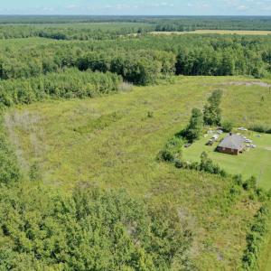 Photo #12 of SOLD property in Off Bolton Road, Rich Square, NC 12.5 acres