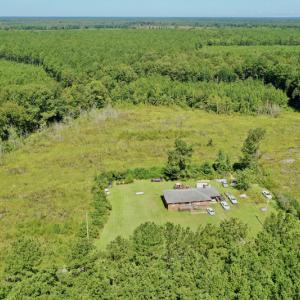 Photo #14 of SOLD property in Off Bolton Road, Rich Square, NC 12.5 acres