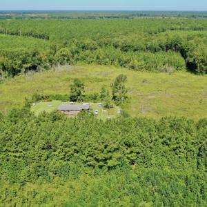 Photo #15 of SOLD property in Off Bolton Road, Rich Square, NC 12.5 acres