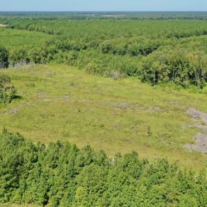 Photo #16 of SOLD property in Off Bolton Road, Rich Square, NC 12.5 acres