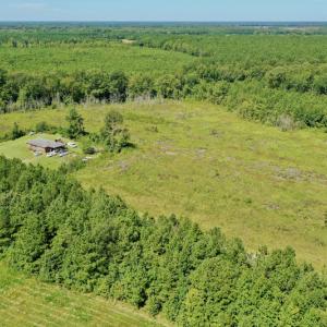 Photo #17 of SOLD property in Off Bolton Road, Rich Square, NC 12.5 acres