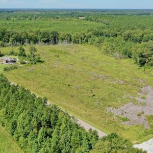 Photo #18 of SOLD property in Off Bolton Road, Rich Square, NC 12.5 acres