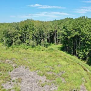 Photo #19 of SOLD property in Off Bolton Road, Rich Square, NC 12.5 acres