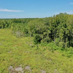 Photo #20 of SOLD property in Off Bolton Road, Rich Square, NC 12.5 acres