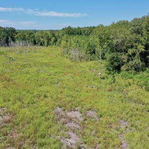 Photo #21 of SOLD property in Off Bolton Road, Rich Square, NC 12.5 acres
