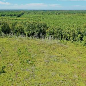 Photo #23 of SOLD property in Off Bolton Road, Rich Square, NC 12.5 acres