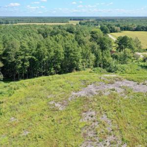 Photo #26 of SOLD property in Off Bolton Road, Rich Square, NC 12.5 acres