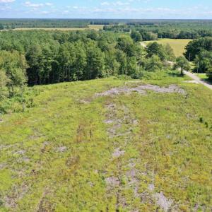 Photo #27 of SOLD property in Off Bolton Road, Rich Square, NC 12.5 acres