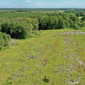 Photo #28 of SOLD property in Off Bolton Road, Rich Square, NC 12.5 acres