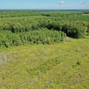 Photo #29 of SOLD property in Off Bolton Road, Rich Square, NC 12.5 acres