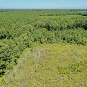 Photo #30 of SOLD property in Off Bolton Road, Rich Square, NC 12.5 acres