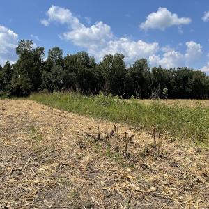 Photo #2 of SOLD property in Off Norton Road, Green Sea, SC 22.4 acres