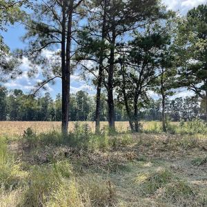 Photo #3 of SOLD property in Off Norton Road, Green Sea, SC 22.4 acres