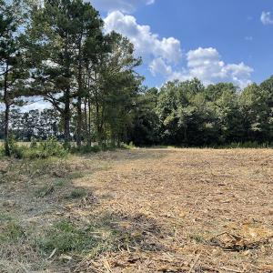 Photo #4 of SOLD property in Off Norton Road, Green Sea, SC 22.4 acres
