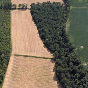 Photo #6 of SOLD property in Off Norton Road, Green Sea, SC 22.4 acres