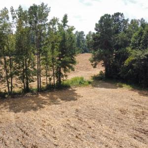 Photo #7 of SOLD property in Off Norton Road, Green Sea, SC 22.4 acres