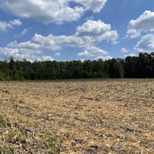 Photo #8 of SOLD property in Off Norton Road, Green Sea, SC 22.4 acres
