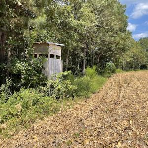 Photo #11 of SOLD property in Off Norton Road, Green Sea, SC 22.4 acres