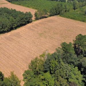 Photo #13 of SOLD property in Off Norton Road, Green Sea, SC 22.4 acres