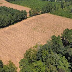 Photo #13 of SOLD property in Off Norton Road, Green Sea, SC 22.4 acres
