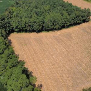 Photo #14 of SOLD property in Off Norton Road, Green Sea, SC 22.4 acres